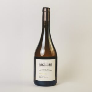 Andillian, La Coste de los Andes Torrontes
