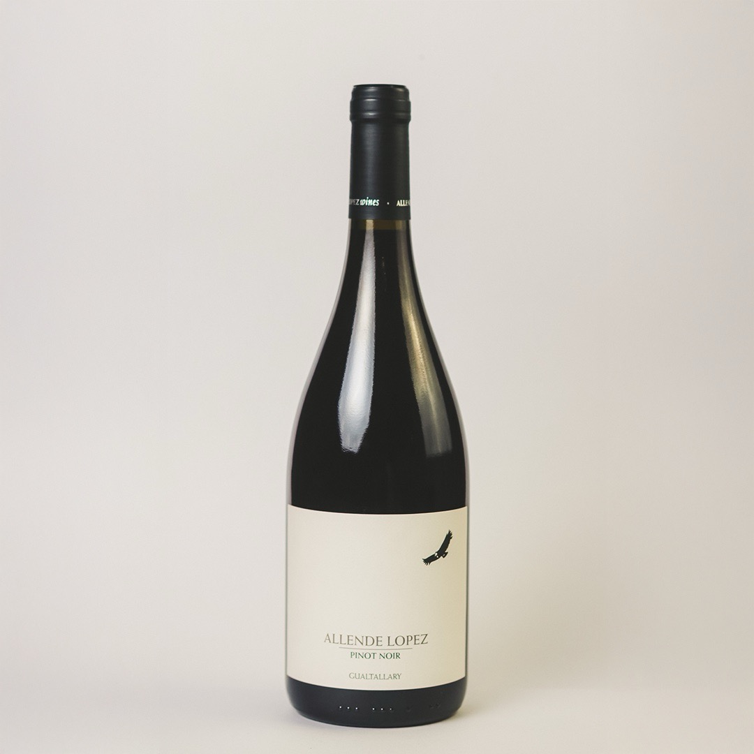 Kondor - Allende Lopez Pinot noir